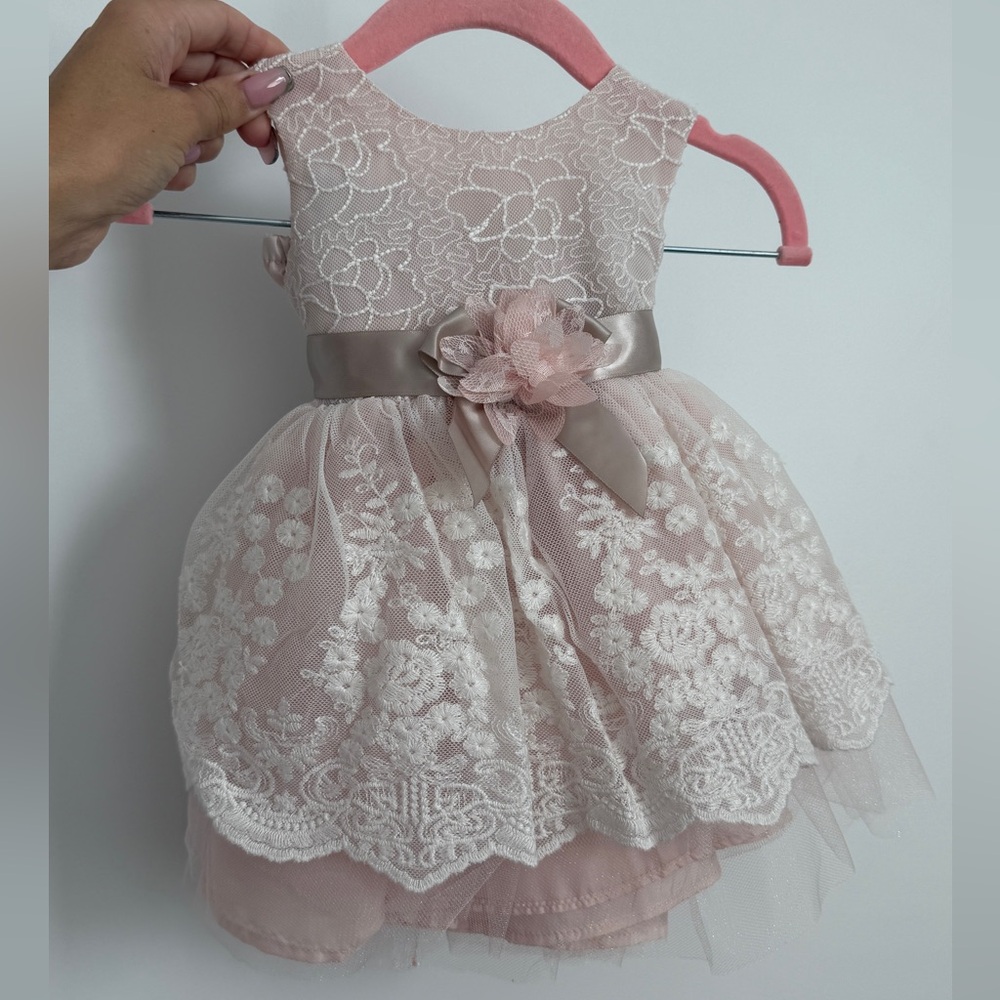 Elegant Light Pink Lace Baby Dress with Floral Details (3-6 M)